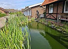 Teich vor dem Haus
