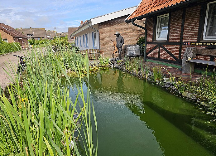 Teich vor dem Haus